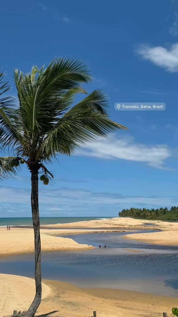 praia nativos