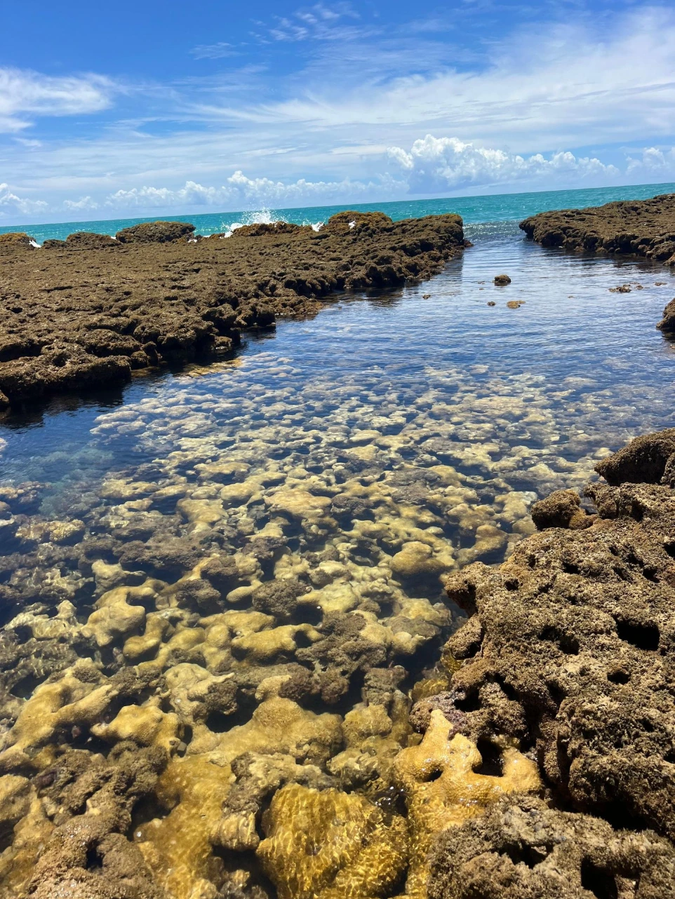 piscinas naturais